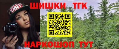 гашик Камень-на-Оби