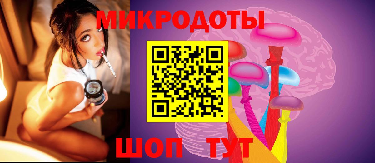 Галлюциногенные грибы Cubensis Михайловск